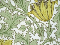 08-anemone-wallpaper-by-william-morris