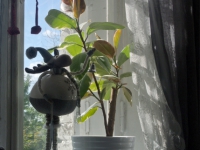 08